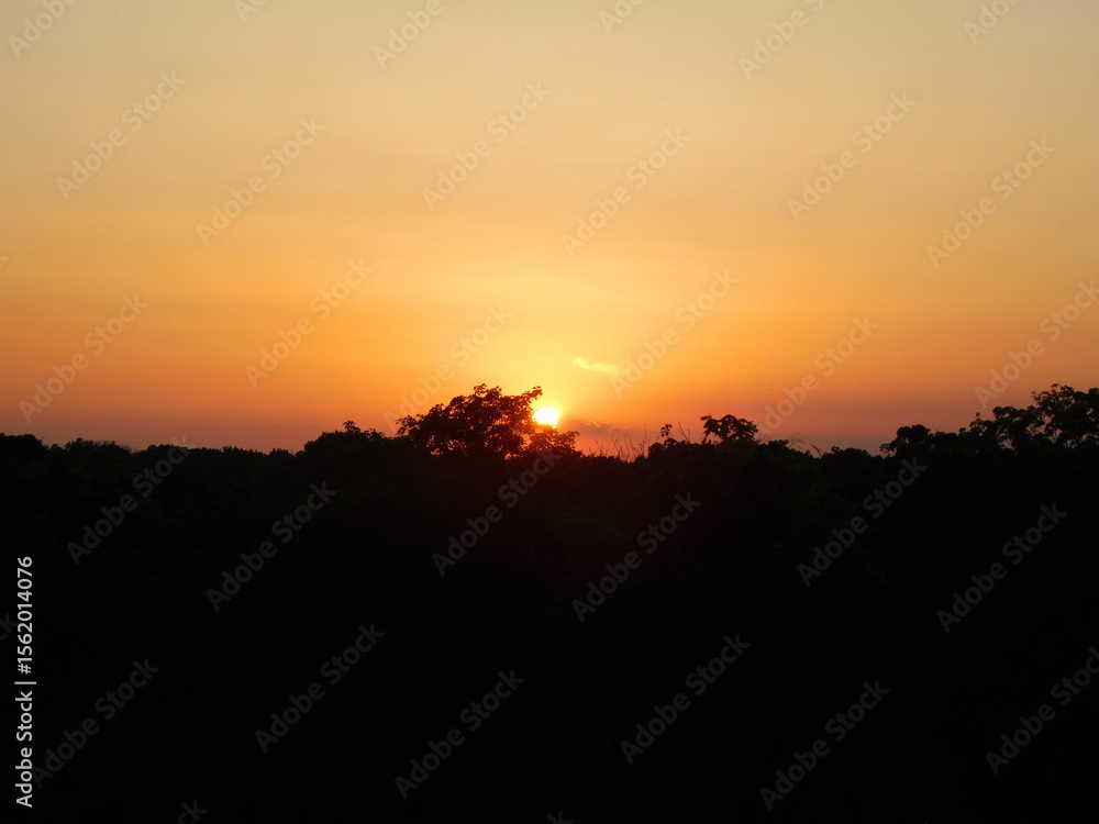 Fototapeta premium sunset over the field