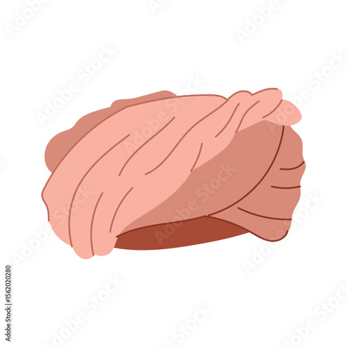 pagri oriental headdress cartoon vector illustration