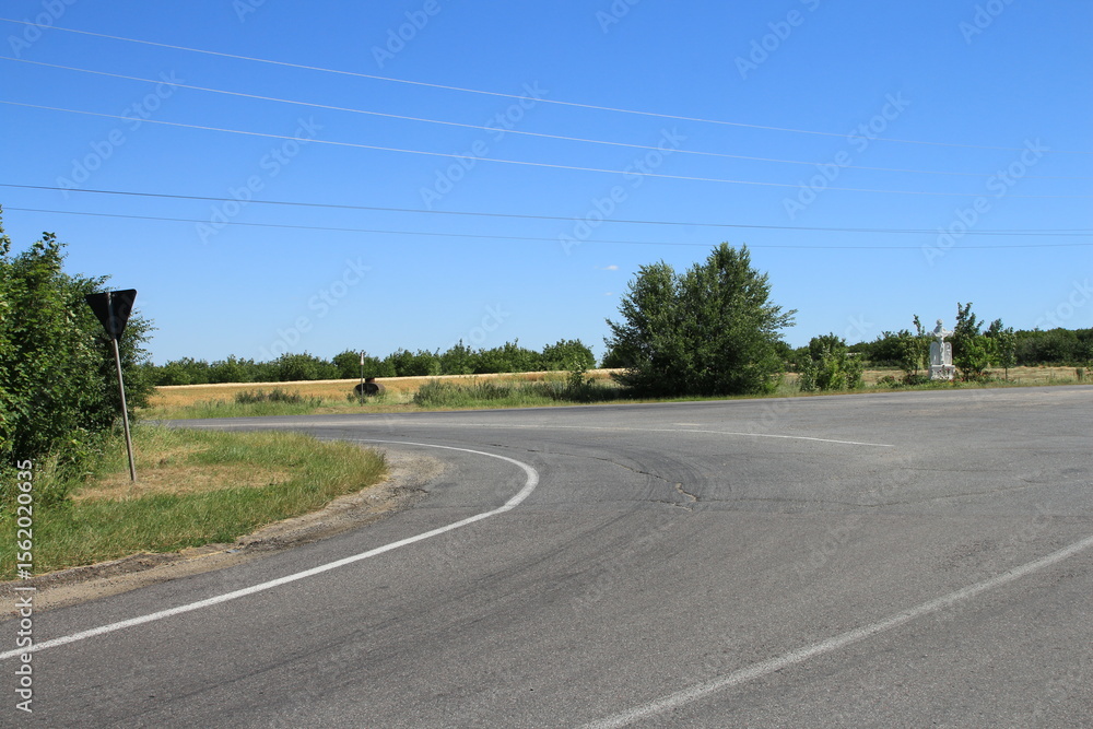 Fototapeta premium A road with trees on the side