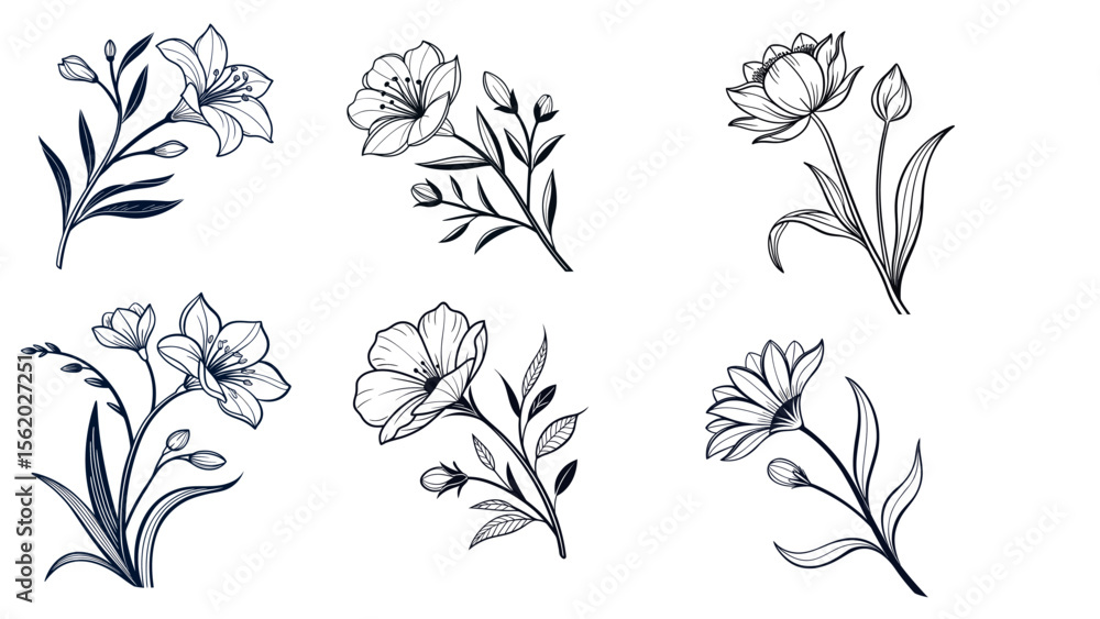 Fototapeta premium hand-drawn floral line art vector set of elegant flowers and leaves