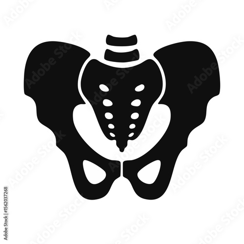 Human Pelvic Girdle Bones Black Glyph Icon (Color Changes Available in SVG)