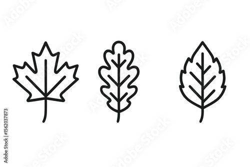 Black outline leaf icons on gray background: maple, oak, and elm vector icon isolated illustration