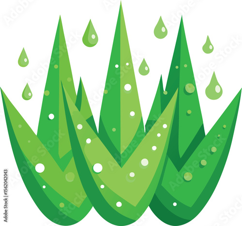 Stylized aloe vera plants with water droplets and dewdrops