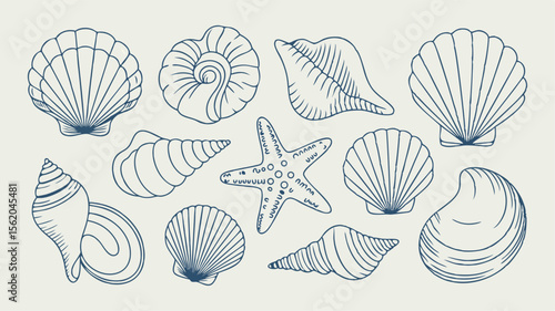 Line Art Illustration of Various Seashells and a Starfish on an OffWhite Background