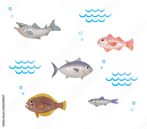 魚のイラストセット　フィッシュ　fish    マグロ　サケ　のどくろ　ヒラメ　イワシ