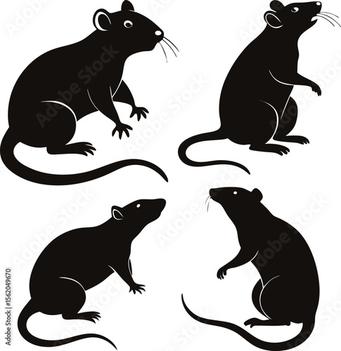 A collection of stylized rat illustrations, showcasing the rodents and often with playful or curious expressions