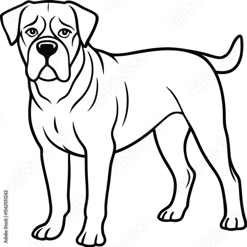 bullmastiff dog breed vector illustration powerful guard dog outline in standing pose, mastiff cartoon drawing, serious looking dog outline, guard dog clipart vector, black white mastiff sketch