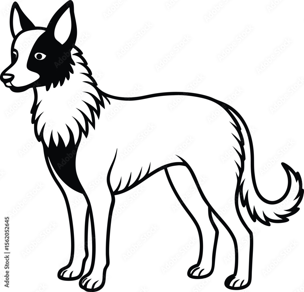 Obraz premium Mudi Dog Standing Vector Illustration of Rare Hungarian Herding Breed with Curly Coat Isolated on White, Standing Mudi Dog Clipart, Curly Haired Herding Dog Vector, Hungarian Working Dog Drawing
