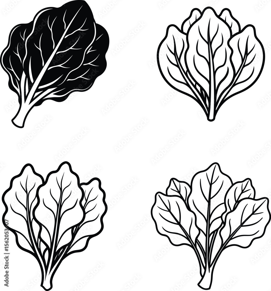 Fototapeta premium Autumn tree and leaf vector set with seasonal floral design elements