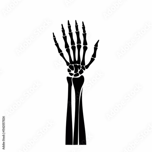 Human Forearm Bones Black Glyph Icon (Color Changes Available in SVG)