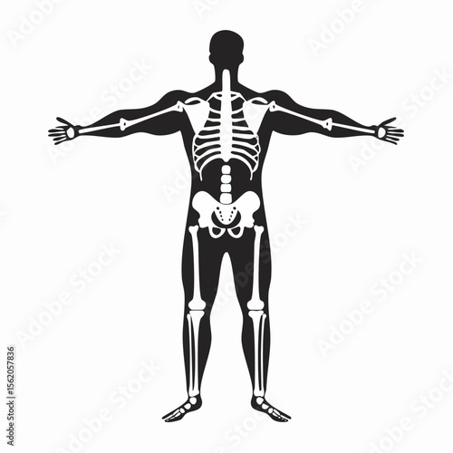 Human Full Body Skeleton Black Glyph Icon (Color Changes Available in SVG)