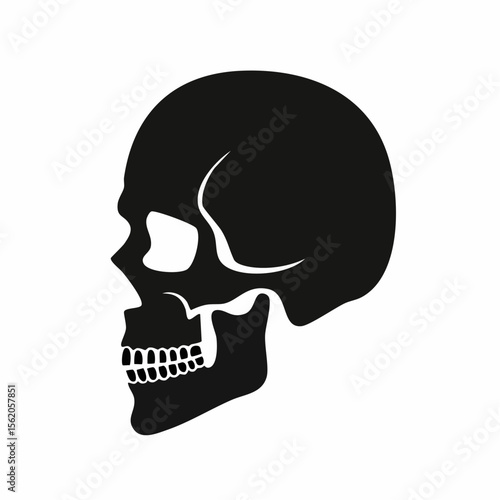 Human Side Skull Black Glyph Icon (Color Changes Available in SVG)