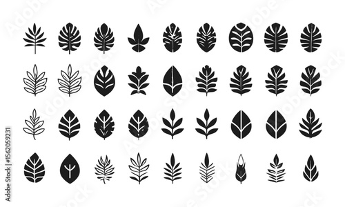 A collection of vector tropical leaves icons in black on a white background, silhouettes of tropical plants - stock illustrationeasily editable and scalable.