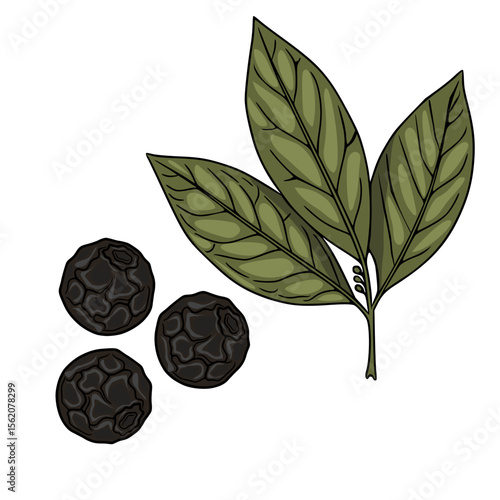 A detailed vector illustration of three black peppercorns and a sprig of pepper leaves, showcasing the intricate texture and natural coloring of the spice.