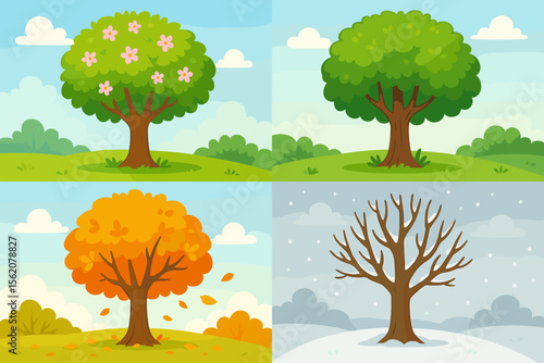 Four Seasons Tree Transformation Cartoon. Spring Blossoms, Summer Greenery, Autumn Leaves, Winter Bare Branches. Seasonal Change Nature Landscape. Educational Vector Illustration for Kids