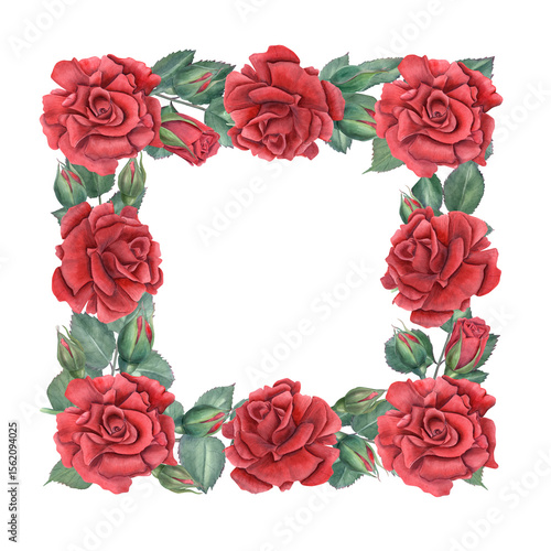Square watercolor frame with lush red rose, bud and green leaf isolated background. Floral sketch for wedding invitation, romantic card, memorial day design. Illustration with blank space for text