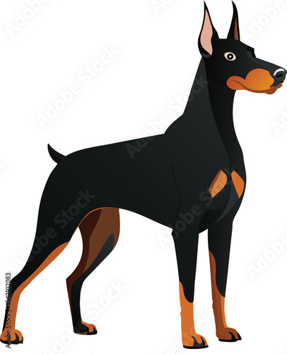 Black Doberman Pinscher standing alert black dog tan markings