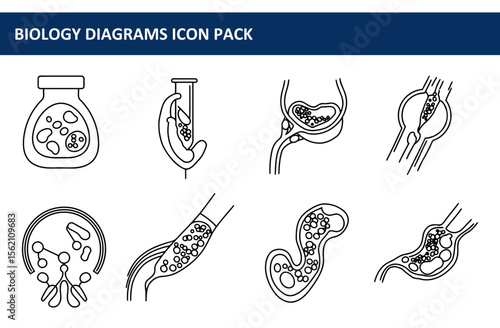 Biology diagrams icon pack showing various anatomical structures in simple line drawings. Collection of diagrams highlighting biological processes and cellular structures.