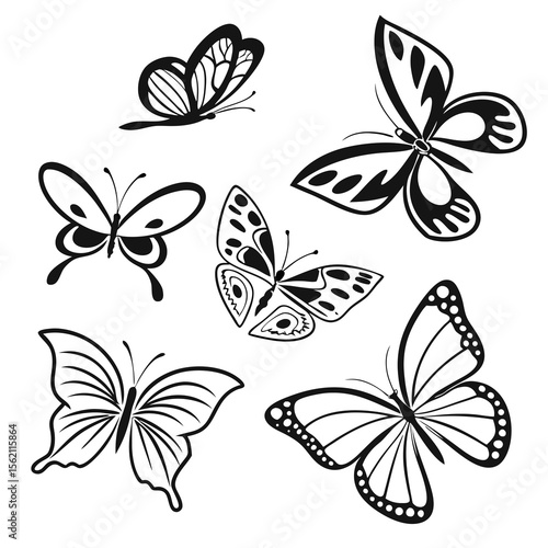 set of vector butterflies