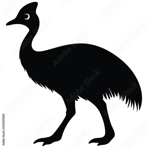 Cassowary Silhouette in Black Isolated on White Background Bird of Australia