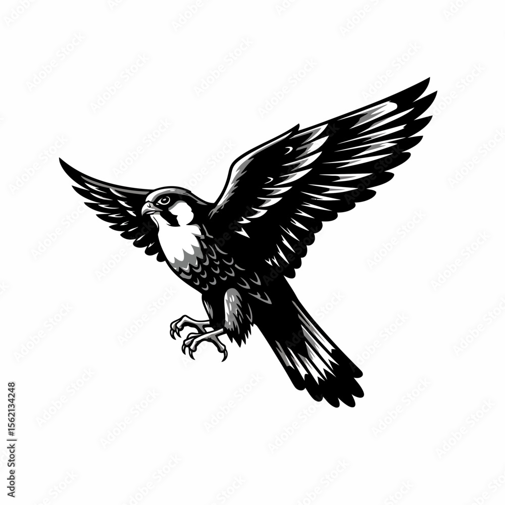 Obraz premium Illustration of a falcon with wings spread wide open silhouette