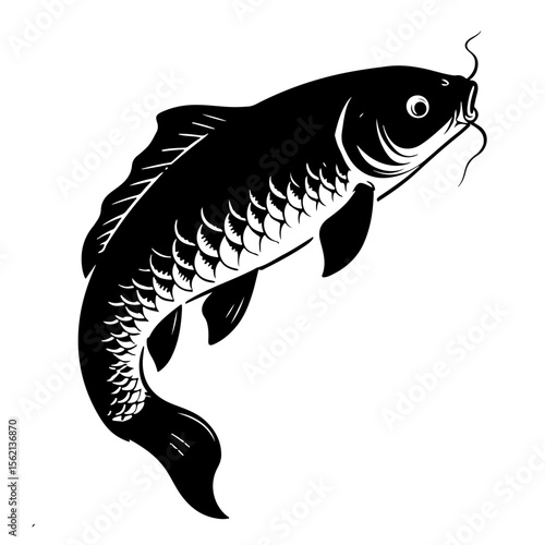 Black carp fish illustration on a white background, design element