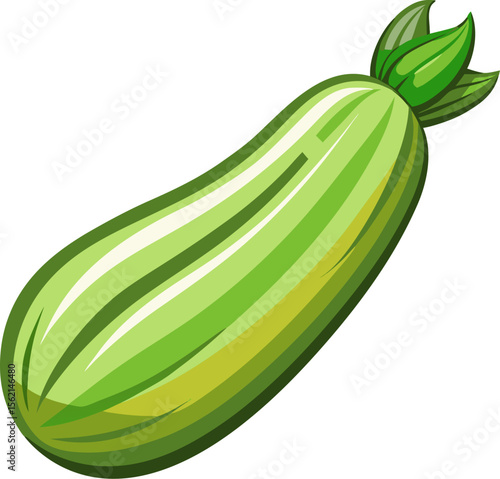 Zucchini