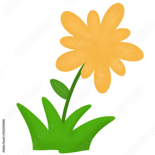 orange flower 