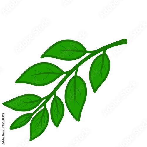 fresh green leaves