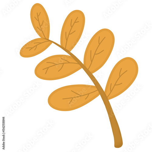 autumn leaves 