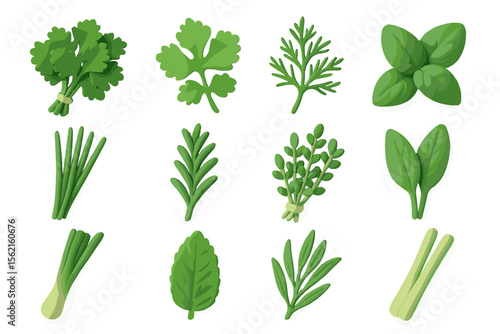 Assorted fresh green herbs on gradient background - cilantro, basil, lemongrass