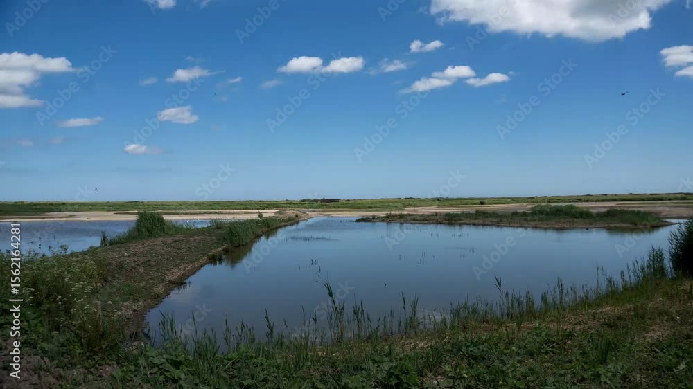 4k timelapse of the coastal nature reserve at Minsmere in Suffolk, UK 4k timelapse of the coastal nature reserve at Minsmere in Suffolk, UK