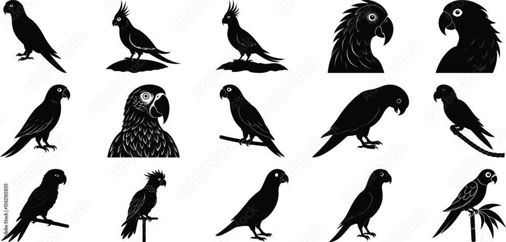Macaw Silhouettes Vector Set, on white background.
Macaw Silhouettes Vector Set, on white background.