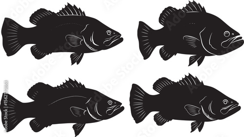 barramundi fish silhouette vector illustration