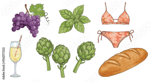 Summer floral vector illustration with grapes, basil, and camouflage bikini for food and fashion design