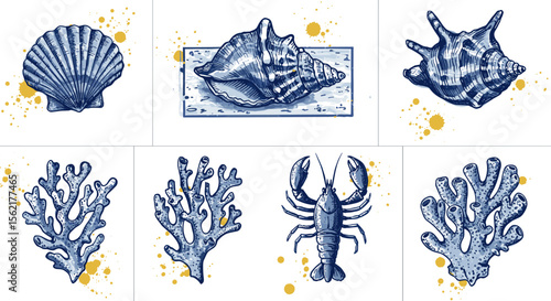 Marine life vector illustration: nautical seashells and coral collection, design for prints and posters
