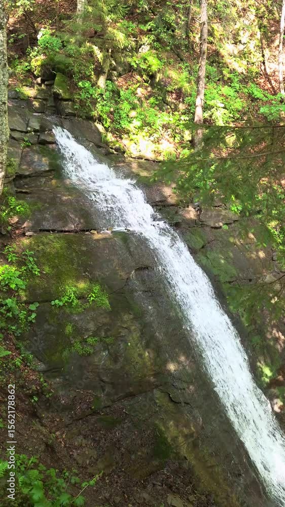 Water cascades down rocky cliff in a lush forest during a sunny afternoon Water cascades down rocky cliff in a lush forest during a sunny afternoon