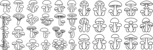 Mushroom Outline Vector Art Collection A Detailed Set of Fungi Line Drawings for Botanical Studies and Natural History Projects, Isolated on Transparent Backdrop