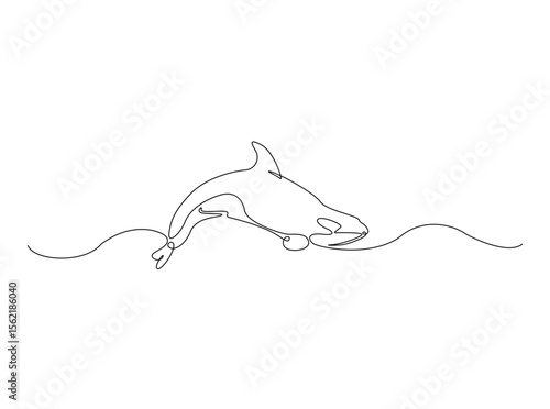 Killer whale in the ocean single outline illustration. Continuous line art drawing of orca killer whale.