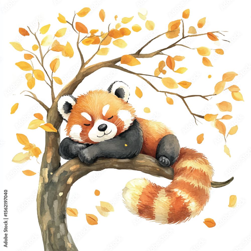 Fototapeta premium Peaceful Red Panda Napping on Autumn Branch