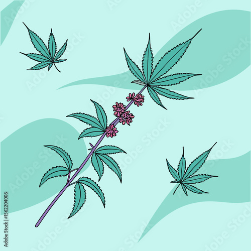 cannabis leaf vector illustration