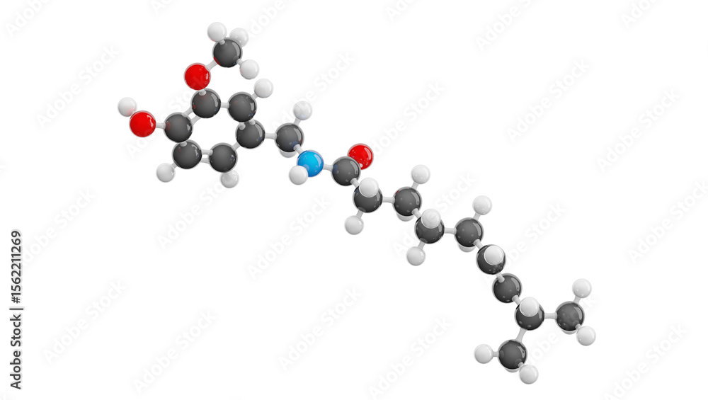 Molecule of Capsaicin isolated on transparent background. Detailed 3D model. Molecular formula: C18H27NO3. Chemical model: Ball and Stick. 3D illustration Molecule of Capsaicin isolated on transparent background. Detailed 3D model. Molecular formula: C18H27NO3. Chemical model: Ball and Stick. 3D illustration