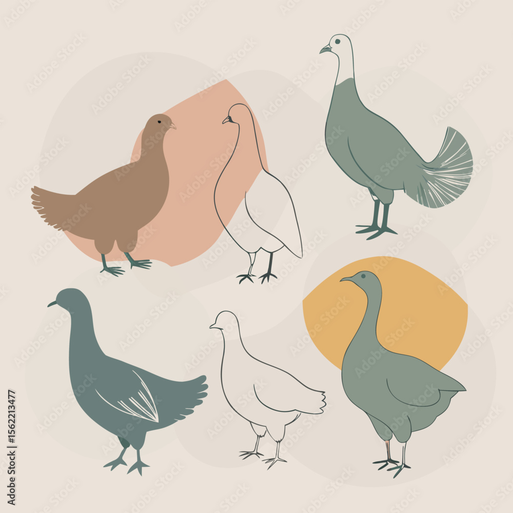 Fototapeta premium a centered vector art board layout with exactly 6 different domestic and farm birds in full-body black silhouette style,