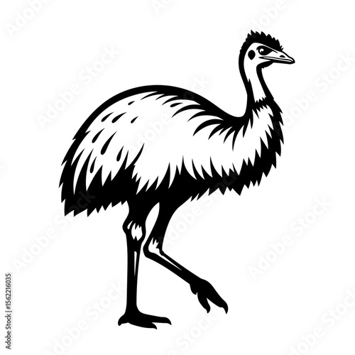 Illustration of an emu walking in black and white silhouette