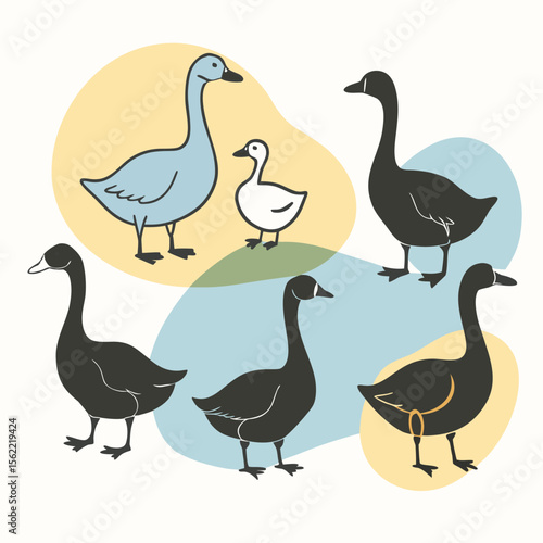 an image of six black silhouette ducks and geese in various poses, arranged on a white background 