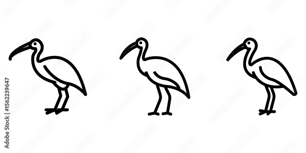 Obraz premium ibis outline or line icon design bundle.