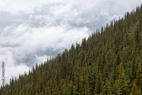 Wallpaper Mural Mountain and clouds diagonal Torontodigital.ca