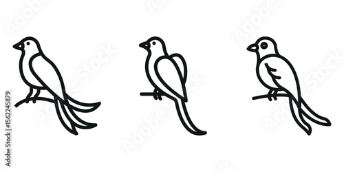 quetzal outline or line icon design bundle.