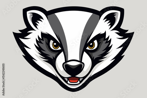 Fierce badger head with black and white markings animal wildlife