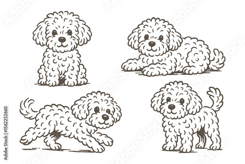 Maltipoo dogs set cartoon sketch style vector illustration